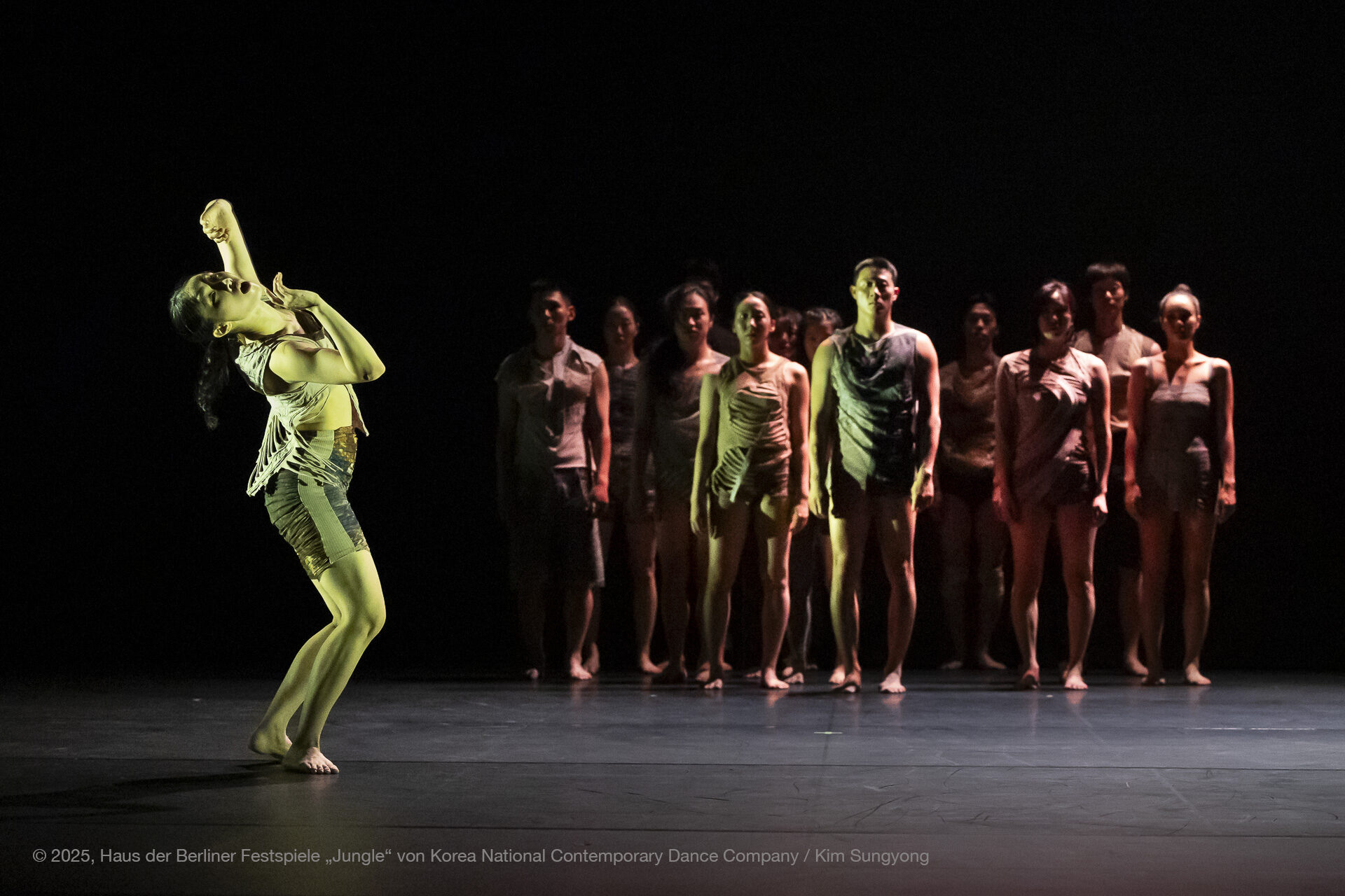 Korea National Contemporary Dance Company - Jungle